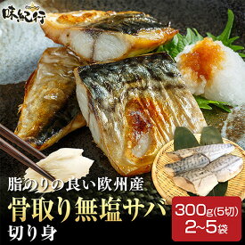さば 鯖 サバ 骨取り 骨なし 無塩 切り身 選べる［2袋600g/3袋900g/4袋1200g/5袋1500g］1袋5切 冷凍 魚 お取り寄せ 通販 グルメ オホーツク味紀行