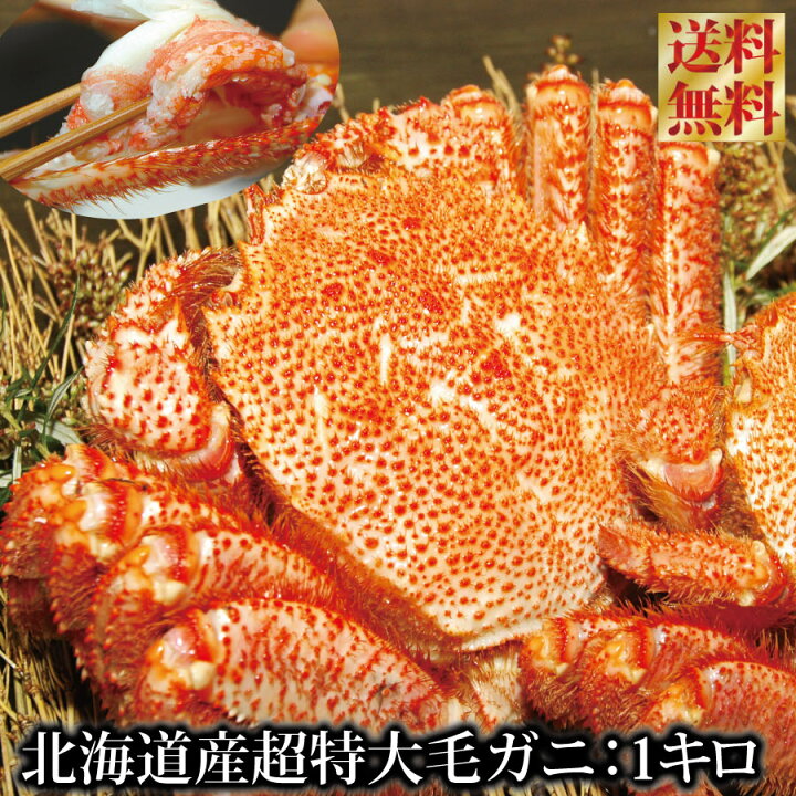 楽天市場】毛ガニ 超特大 1キロ～ プレミアム 『北海道産 ボイル 毛蟹 