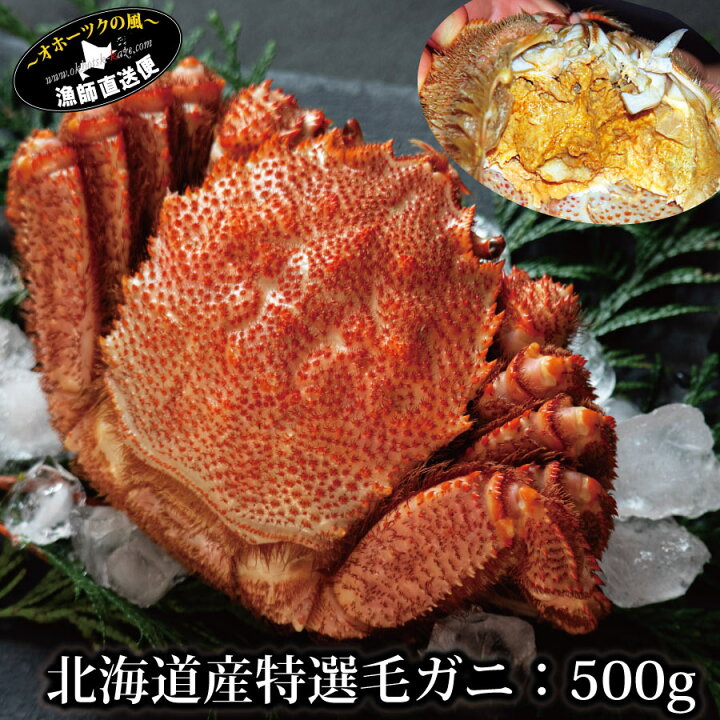 楽天市場】北海道産 特選 ボイル 毛ガニ 500g （堅蟹一番手）北海道  