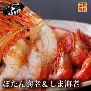 しまえび エビの人気商品 通販 価格比較 価格 Com