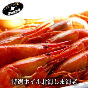 特大 エビの人気商品 通販 価格比較 価格 Com 特大 エビの人気商品 通販 価格比較 価格 Com