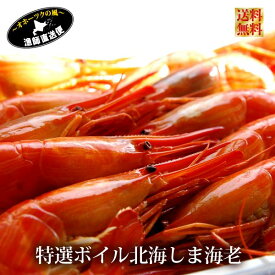 楽天市場 北海シマエビ 500gの通販