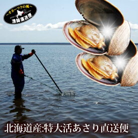 楽天市場 バーベキュー 食材 魚介類 水産加工品 食品 の通販