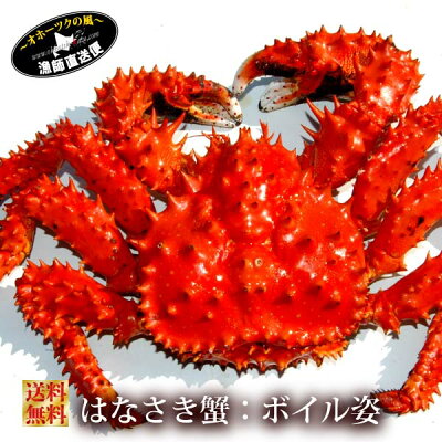 『浜茹で花咲蟹(メス)』(北海道根室産:600g前後)