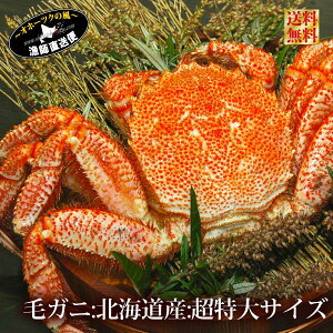 毛ガニ 特大の人気商品 通販 価格比較 価格 Com 毛ガニ 特大の人気商品 通販 価格比較 価格 Com