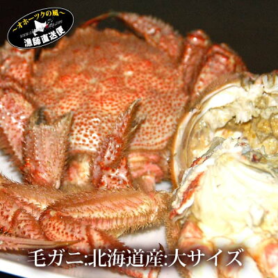 『北海道特選ボイル毛ガニ』(堅蟹一番手:大サイズ500-550g前後)【お歳暮】【年越し】