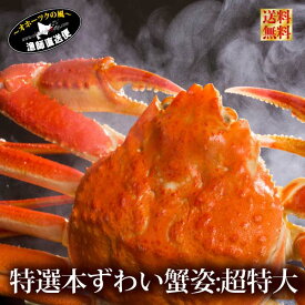 海鮮 特大 本ズワイガニ 姿1キロ 本ずわいがに 北海道産 本ずわい蟹 ズワイガニ ずわいがに ズワイ蟹 ずわい蟹 かにすき カニミソ かにみそ 北海松葉ガニ 越前がに高級 送料無料 母の日