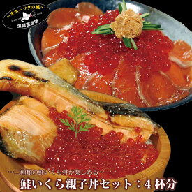 北海道 海鮮 鮭 イクラ 親子丼 ギフトセット（いくら醤油漬け：200g / 甘塩鮭 切り身 お刺身サーモン ）イクラ いくら 天然鮭 ギフト ご贈答用 送料無料 新春 父の日