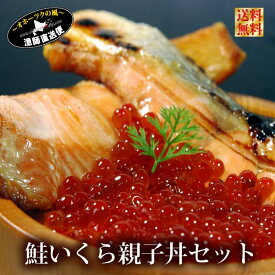 いくら イクラ 送料無料 北海道産天然『鮭イクラ親子セット』（いくら醤油漬け：210g/甘塩鮭切り身/お刺身サーモン/西京漬け）イクラ いくら 天然鮭 切身 北海道 献上鮭 ギフトセット