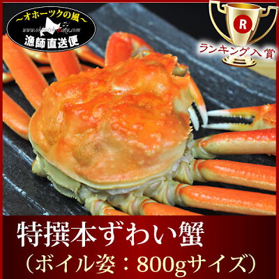 【12月発送ご予約受付中】『ボイル本ずわい蟹:姿800g前後』【お歳暮】【年越し】