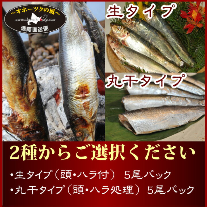 324円 特価キャンペーン ニシン 生冷凍 超特大 １尾入 浜坂産 今回は