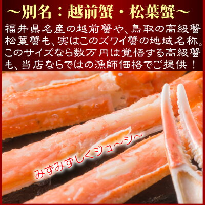 解凍方法説明書