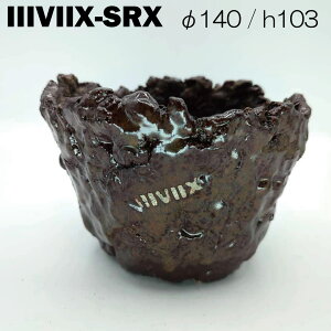 イーヴィックス鉢 SRX 植木鉢 （4.5号鉢）レッドブラッケン 塊根植物 アガベ 岩肌のようなゴツゴツシェイプ by IIIVIIX　イーヴィックス　送料無料（四国・九州・沖縄を除く）