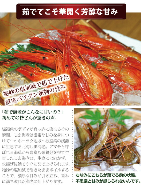 楽天市場】《感謝祭☆クーポン&ポイントUP》《今季新物入荷》 北海シマエビ シマ海老 特選北海しま海老 500g パック L〜2Lサイズ 北方四島産 しまえび エビ えび 特大 オホーツク ギフト 贈答用 お取り寄せグルメ 内祝い 各種内祝い 北海道 海鮮 : オホーツクの風〜海老 ... 楽天市場】《感謝祭☆クーポン&ポイントUP》《今季新物入荷》 北海シマエビ シマ海老 特選北海しま海老 500g パック L〜2Lサイズ 北方四島産 しまえび エビ えび 特大 オホーツク ギフト 贈答用 お取り寄せグルメ 内祝い 各種内祝い 北海道 海鮮 : オホーツクの風〜海老 ...