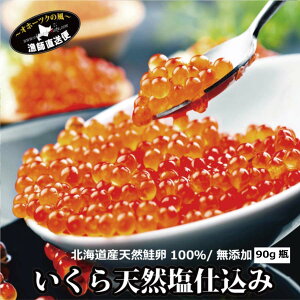 CN Y 90g kCY I CN Ђ VR 100 kC ʊC ʍ   CN hgCN  ikura