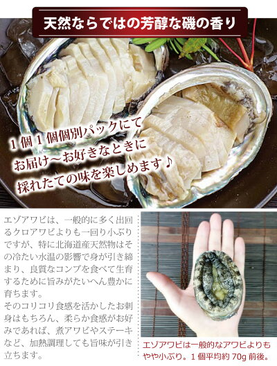 楽天市場 北海道産天然エゾアワビ お刺身用 活冷凍2個パック えぞあわび 蝦夷アワビ北海道 あわび 活 アワビ 活 えぞあわび エゾ鮑 刺し身 海鮮 北海道物産展 お歳暮 年越し オホーツクの風 海老蟹いくら専科