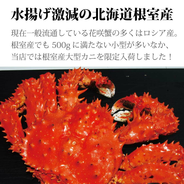 楽天市場 18日は超大型ポイントsale 北海道 海鮮 花咲ガニ 花咲蟹 ボイルオス 姿700g 1kg選択可能 ギフト 贈答用 花咲がに 根室 はなさきがに ハナサキガニ 北海道物産展 内祝い 送料無料 お歳暮 年越し オホーツクの風 海老蟹いくら専科