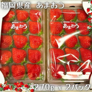  ܂ 12ȍ~ Y 2pbN NX}X Ε  Mtg v[g  uh x[ ؒ t[c  strawberry amaou fruits