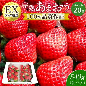 【エントリーでP20倍】【産地直送】あまおう いちご 福岡県産 すぐ発送 2パック 大粒 EXランク 贈答用 ギフト プレゼント お歳暮　お取り寄せ 高級 甘い ブランド フルーツ 苺 おおきベリー 大木町 送料無料