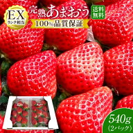 【産地直送】あまおう いちご 福岡県産 すぐ発送 2パック 大粒 EXランク 贈答用 ギフト プレゼント お歳…