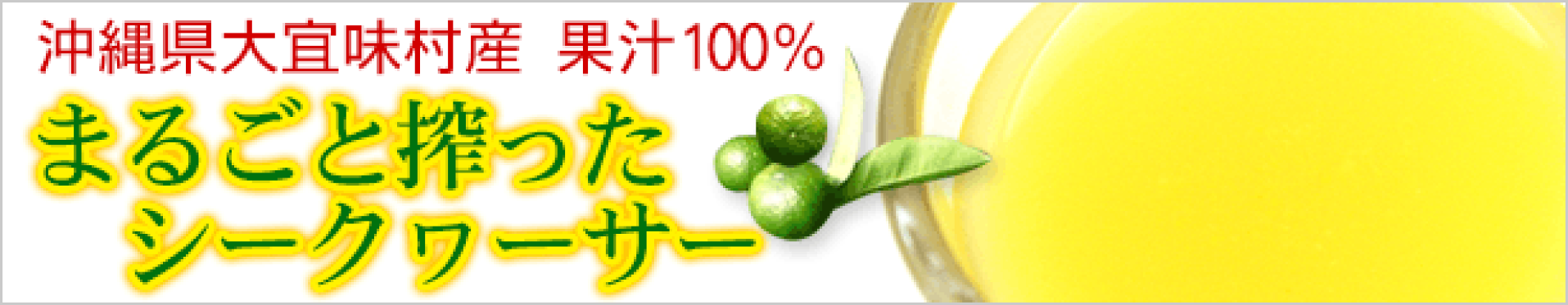 まるごと搾ったシークワーサー 500ml