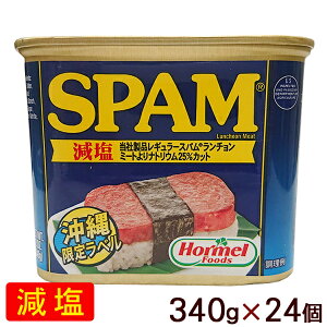 �y����z�[�����z�X�p��SPAM�@�����i�����`�����~�[�g�j340g×24��1�P�[�X���y���������z