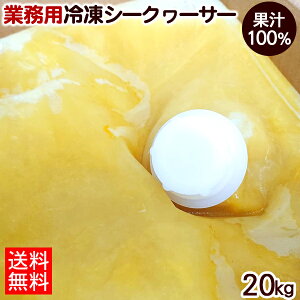 Ⓚ XYV[N[T[ʏ`100 20kg yz@/Y Ɩp [J[