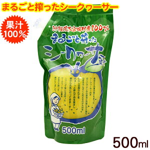 CY XY܂邲ƍV[N[T[ ʏ` 500ml Y ؂ t V[NT[ V[NT[ V[N[T[ V[NV[