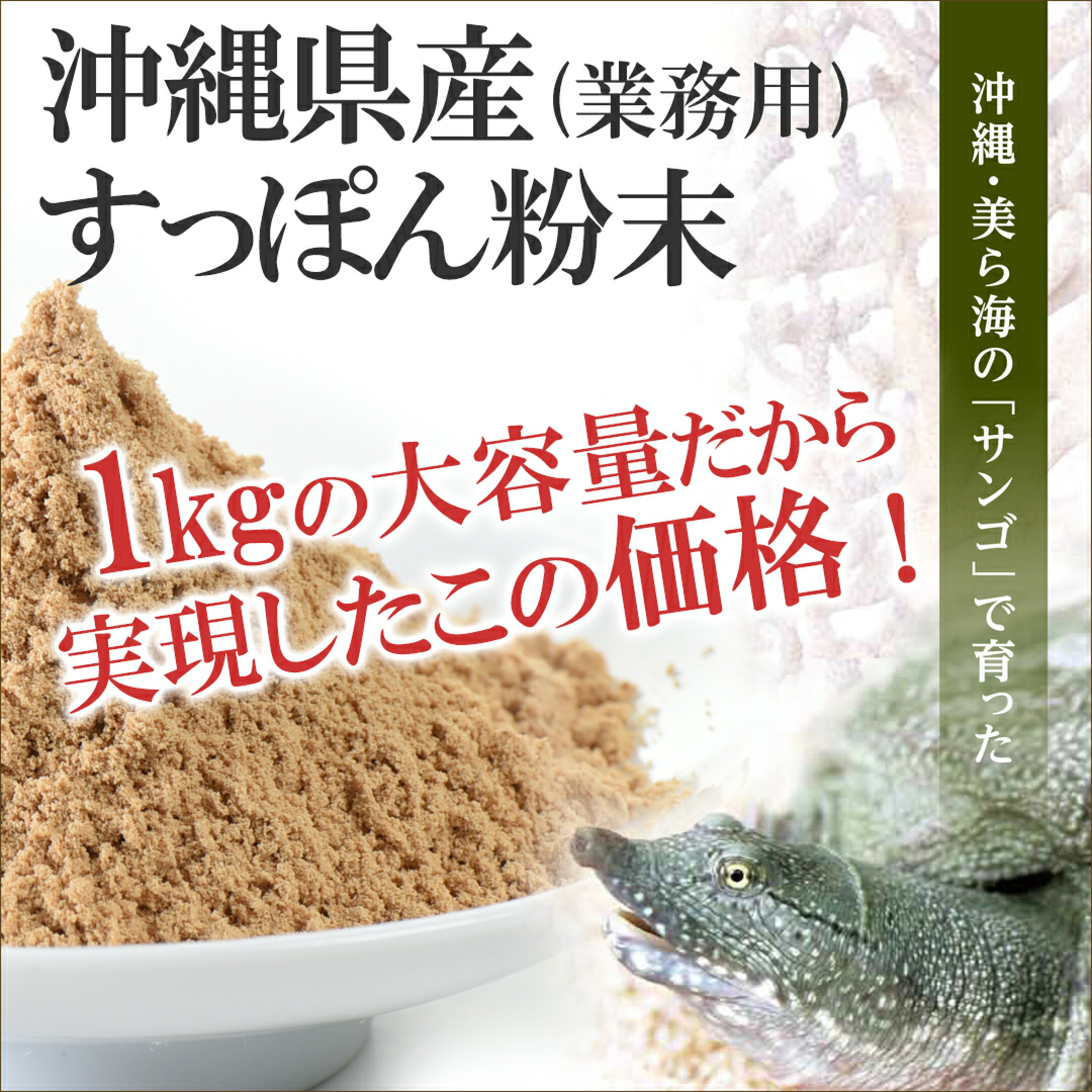 沖縄県産すっぽん粉末　1kg (業務用) 【送料無料】　/オキハム