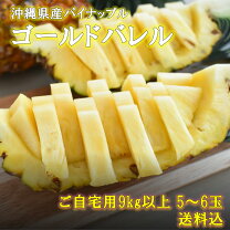 楽天市場】東村 ゴールドバレルの通販