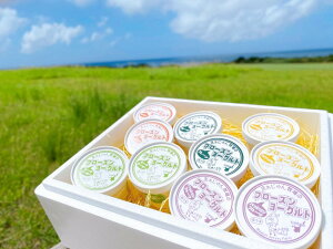 ܂̃t[Y [OgZbg10@܂ W[W[ t[Y [Og Zbg Mtg 蕨 ꌧY Ί_  Ӂ`ǃOv Ӂ`