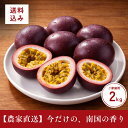 【ランキング1位獲得】沖縄県産パッションフルーツ 2kg 20玉前後入 送料無料 予約販売 3月下旬〜発送予定 最安値に挑…
