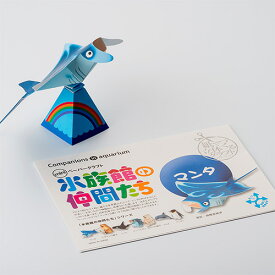 ペーパークラフト　水族館の仲間たち　マンタ沖縄土産 メール便発送 ペーパークラフト以外との同梱不可