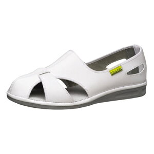 ~hS GpXN[N jp ÓdƌC GpX