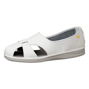 ~hS PS-01S jp ÓdƌC GpX 29E30cm