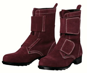 hP SC T-6 nڗpҏC}WbN