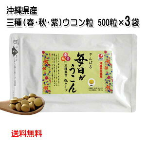 ꌧkY@΂閈ER ܓ 500×3 iHEREtEREER 3ERji[֔ jNN~ ~l