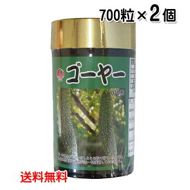 ゴーヤ粒 700粒×2個セット サプリメント 健康サプリ ゴーヤー ニガウリ 食物繊維 送料無料 比嘉製茶