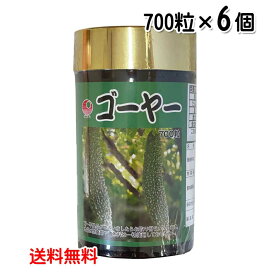 ゴーヤ粒 700粒×6個セット サプリメント 健康サプリ ゴーヤー ニガウリ 食物繊維 送料無料 比嘉製茶