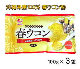 ウコン サプリ 沖縄 春ウコン粉 袋タイプ 100g×3袋セット 粉末 詰替え用 クルクミン 健康食品 沖縄県産 春うこん 送料無料 比嘉製茶