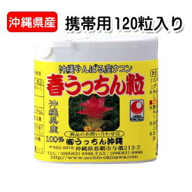 春ウコン粒 沖縄県産 春うっちん粒 携帯用 120粒入り×1個 ウコン うっちん沖縄 メール便発送ポスト投函 錠剤