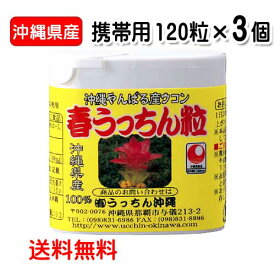 春ウコン粒 沖縄県産 春うっちん粒 携帯用 120粒入り×3個 ウコン うっちん沖縄 メール便発送ポスト投函 送料無料 錠剤