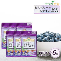 楽天市場】ルテイン＋ビルベリー 60粒 richの通販