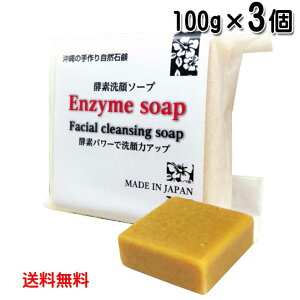 yf\[v 100g×3 ̎莩R΂ [֔  ؔyGLXz XN{