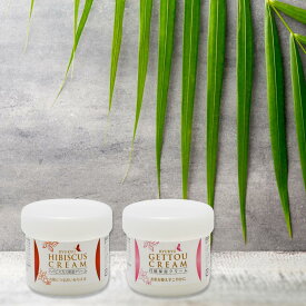 保湿クリーム 100g 琉球保湿クリーム 月桃蒸留水 ハイビスカス蒸留水 ローズマリー蒸留水 沖縄 コスメ 琉球コスメ 保湿クリーム スクワラン ヒアルロン酸 月桃 ハイビスカス ローズマリー レターパックプラス発送