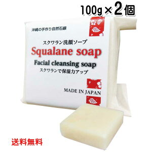 XN\[v 100g×2 ̎莩R΂ XNICz [֔  XN{