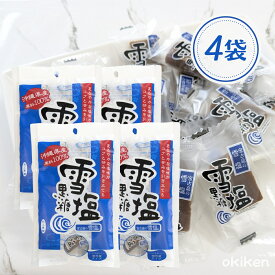 雪塩黒糖 120g×4袋セット 沖縄 黒糖 個包装 雪塩 お土産 ミネラル豊富 熱中症対策 送料無料 黒糖本舗垣乃花