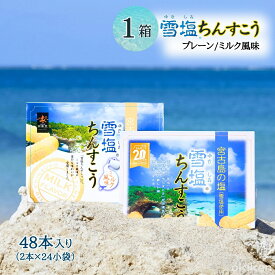 ちんすこう 雪塩ちんすこう 大 48本入り×1箱 塩ちんすこう ミルク風味 雪塩 沖縄 お土産 南風堂