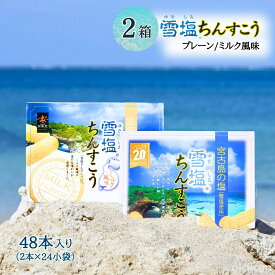 【楽天1位】 ちんすこう 雪塩ちんすこう 大 48本入り×2箱セット 塩ちんすこう ミルク風味 雪塩 沖縄 お土産 南風堂