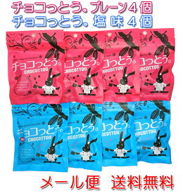 チョコっとう。 プレーン味＆塩味 (各40g×4個) 送料無料 チョコレート 塩 黒糖 ばらまき プチギフト チョコ 小分け こくとう 買いまわり メール便発送 ちょこっとう 沖縄 お土産 琉球黒糖